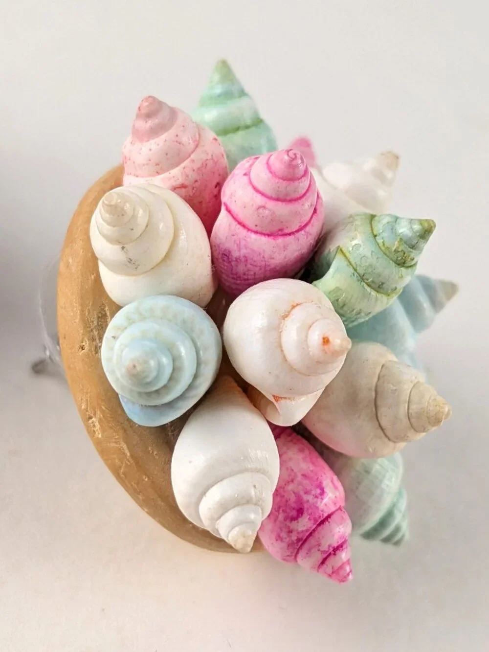 Vintage Multicolor Mini Shell Earrings
